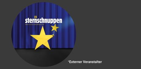 Oltner Advents-Kalender - 23 Sternschnuppen